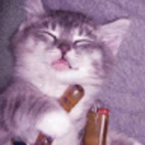 Meet your Posher, Kylie